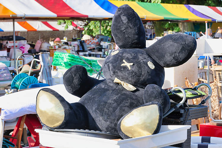 Rommelmarkt 2022 Waarder_017